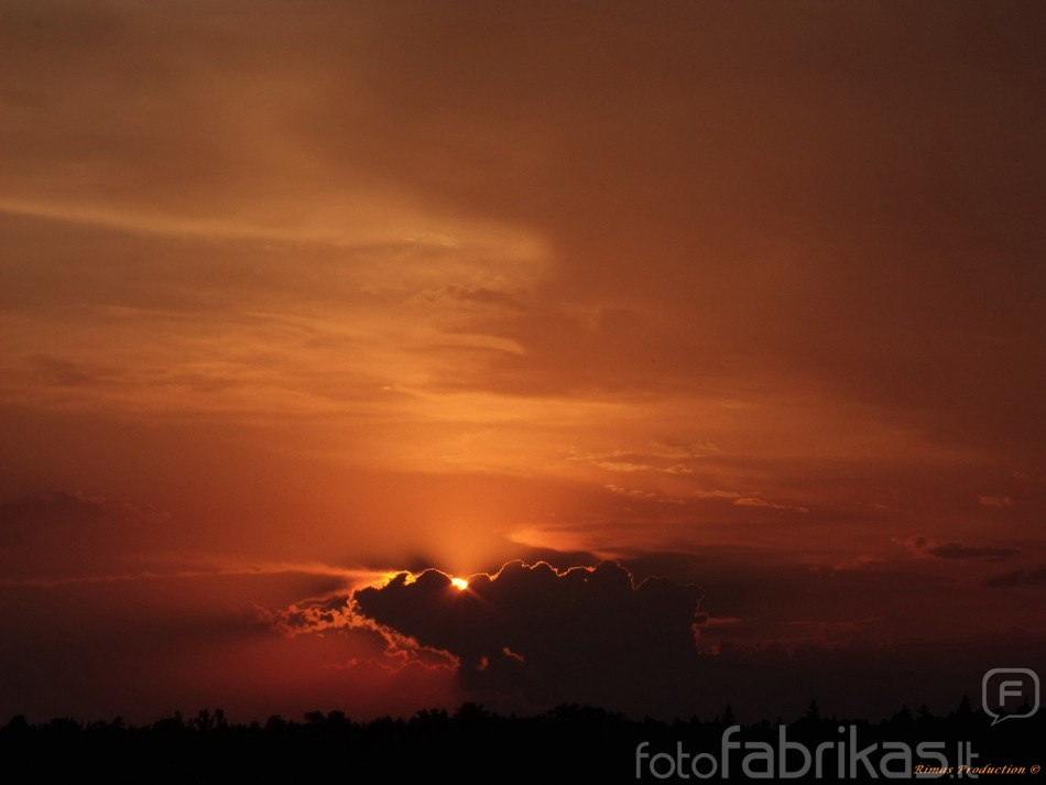 DSCF3474.jpg