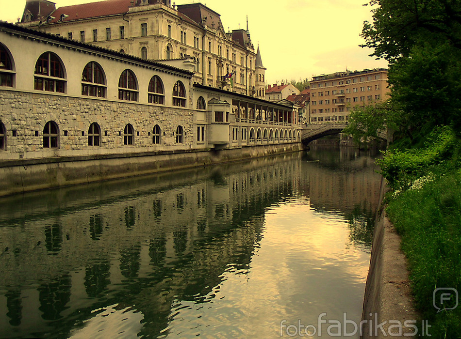 Liublianicos upė