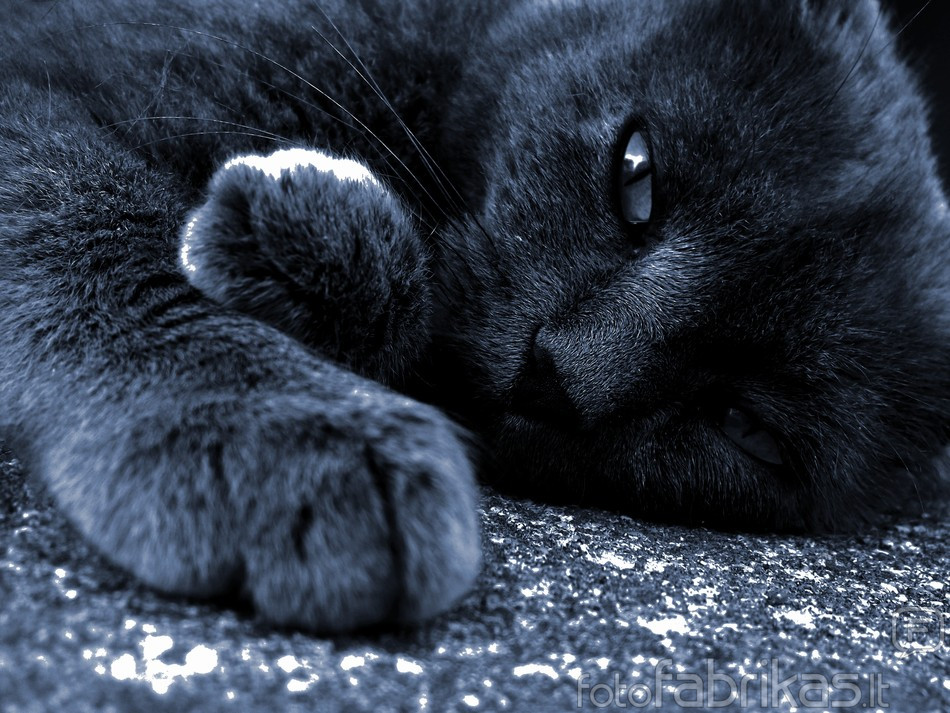 DSCF2338.JPG