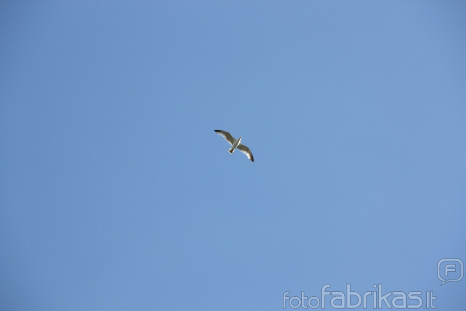 IMG_5582.JPG