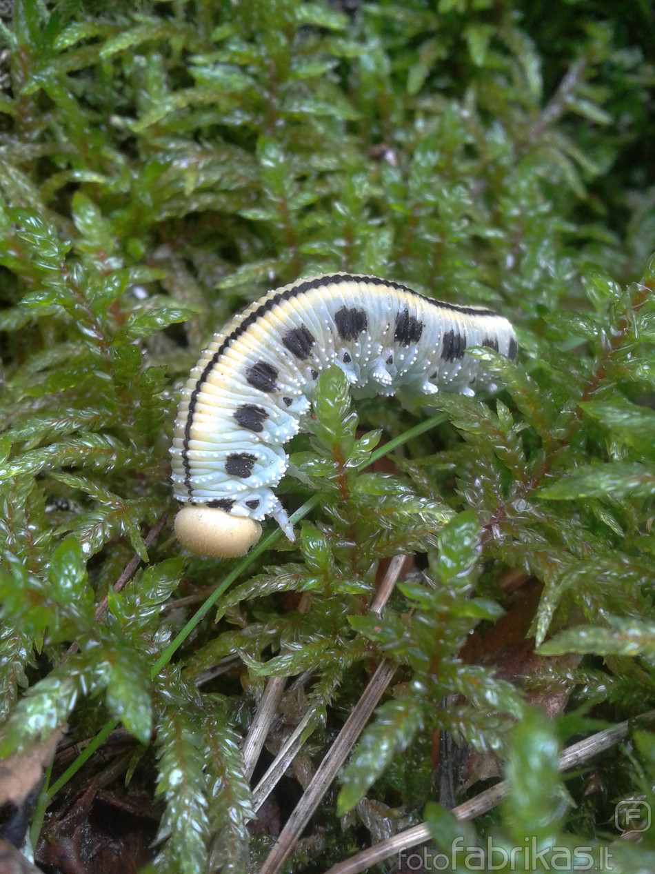 2011-08-13 15.53.57.jpg