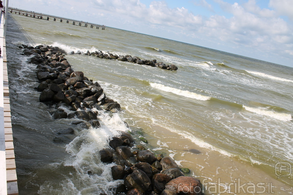 IMG_2695.JPG