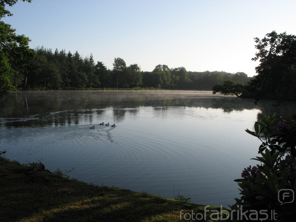 IMG_5435.JPG