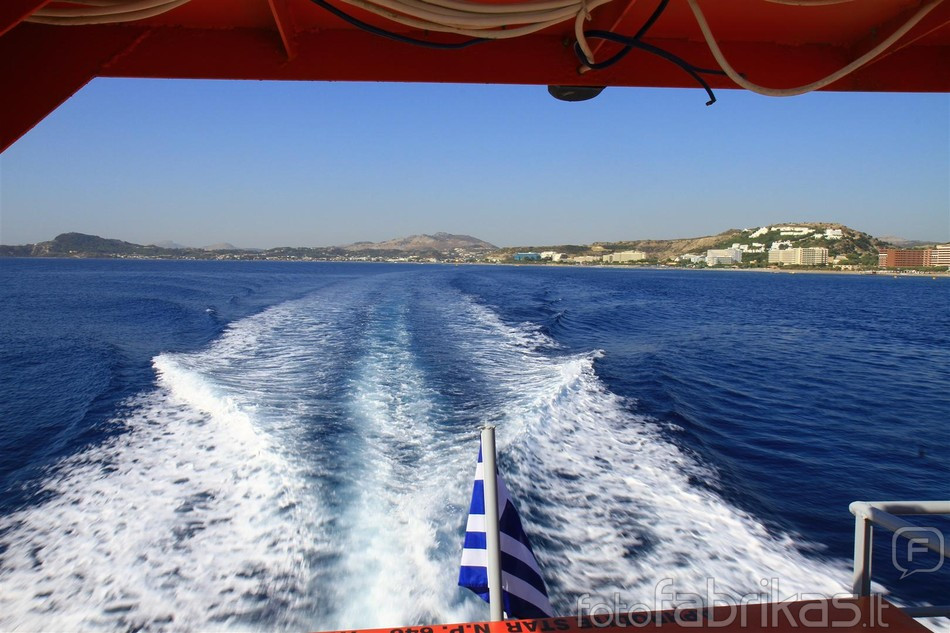 IMG_4164 (Large).JPG