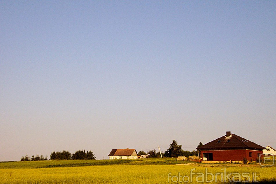 Spalvotai