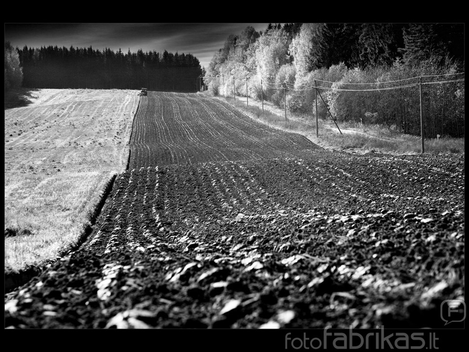 Rudens darbai