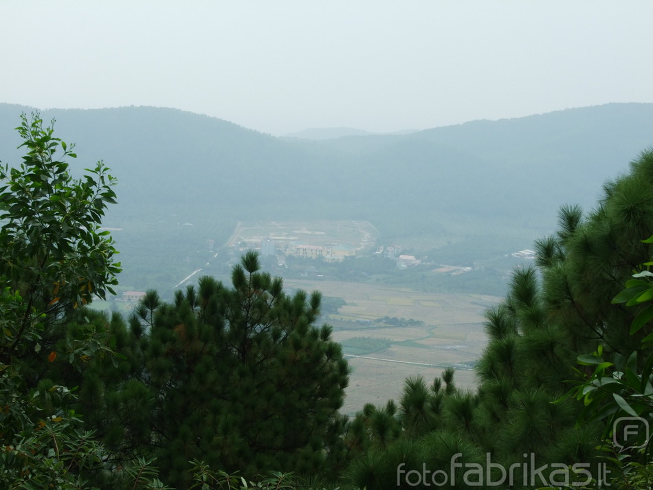 DSCF9678.JPG