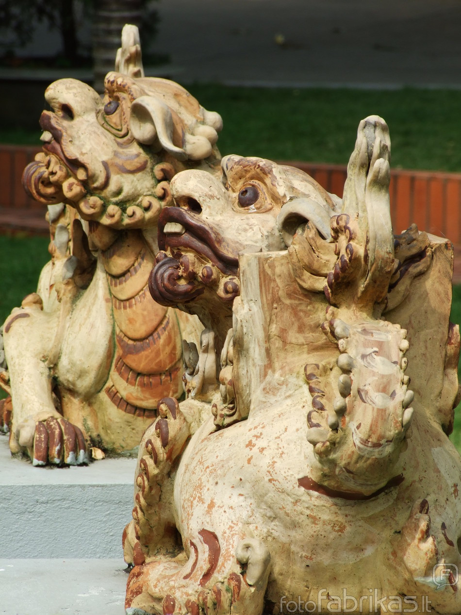 DSCF9873.JPG
