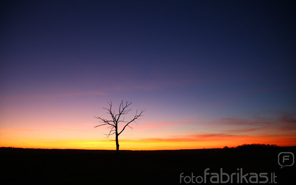Vakaras
