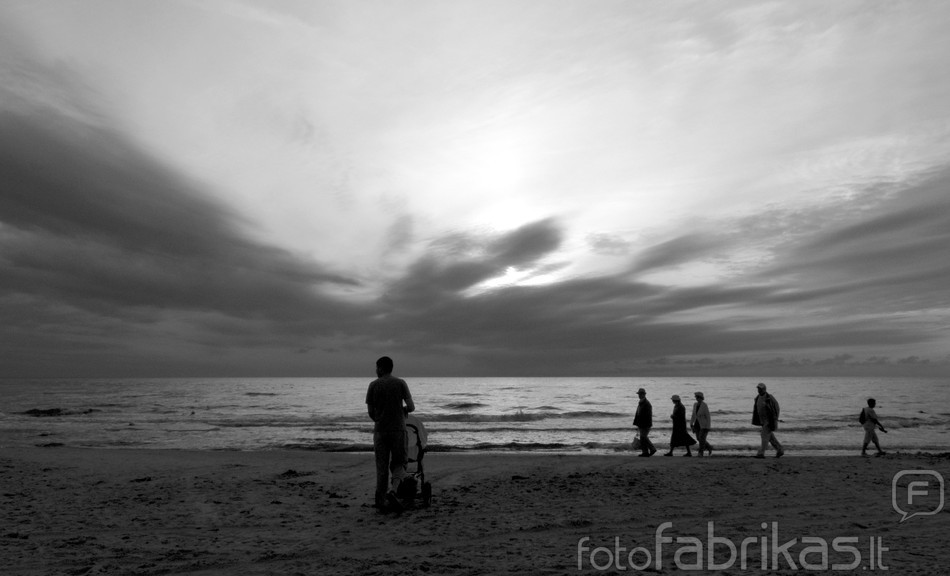 P8231324-2.jpg