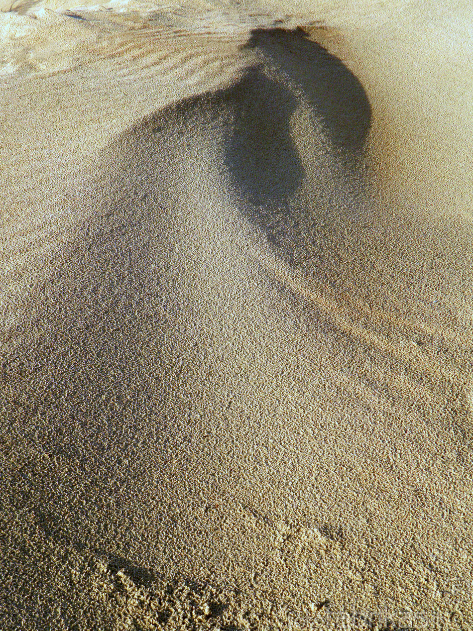 P8301691-10.jpg