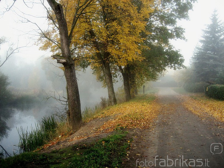 golden autumn
