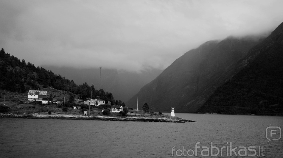 DSC_5943i.jpg