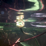 untitled15.bmp