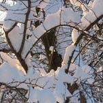 DSCF0406.JPG