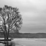 Prie marių