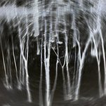_0269026-1.jpg