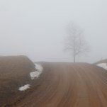 Vienišas prie kelio