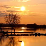 IMG_2842.jpg