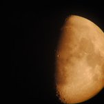 DSC_0031.jpg