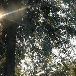 IMG_7028.JPG