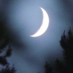DSCF5228.JPG