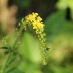 IMG_8152.JPG
