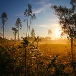 rudens rytas