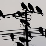 DSCN1570.jpg
