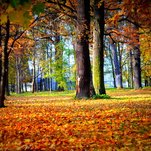 DSC_1073.JPG