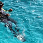 IMG_4901.JPG