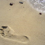 DSC00110.JPG