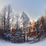 Kitu kampu į žiemą