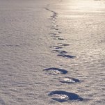 D130 (4).jpg
