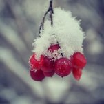D130 (8).jpg
