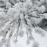 IMG_6367.JPG