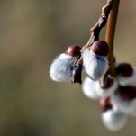 watermarked-DSC_0279.jpg