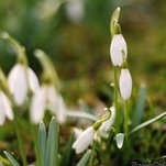 watermarked-DSC_3558d.jpg