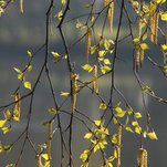 DSC_0760.JPG