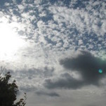 IMG_6489.jpg