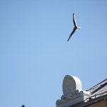 IMG_2286.JPG