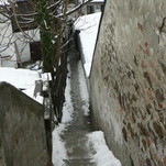 P1000561.JPG