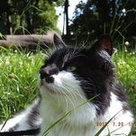 DSCF2423.JPG