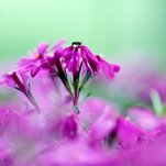 IMG_2950 kopiq.jpg