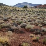 IMG_2341-001.jpg