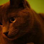 DSC01828.JPG