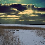 DSC_1710a.jpg