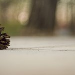 DSC_2926.jpg