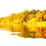 DSC04327.JPG