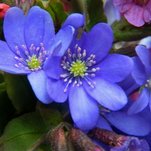 DSCN2907.JPG
